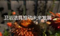 卫浴洁具推动未来发展：创新、进军高端卫浴市场!