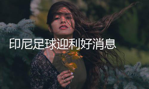 中国人张吉龙出面调停