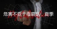 危害不亚于毒蘑菇	
，夏季吃海鲜小心贝类中毒
