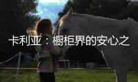 卡利亚
：橱柜界的安心之选