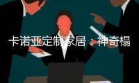 卡诺亚定制家居	：神奇榻榻米 随意组合都养眼