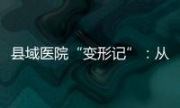 县域医院“变形记”�	：从“多捞钱”到“多省钱”