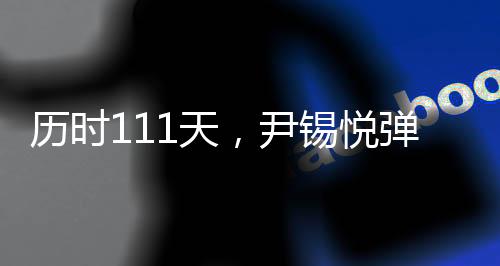 天尹可裁定弹劾案成立