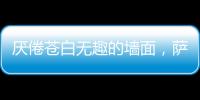 厌倦苍白无趣的墙面，萨拉玛艺术漆给你惊艳想象!