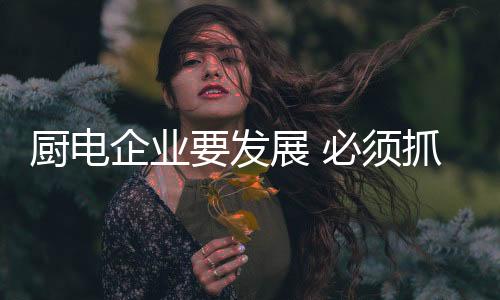 夯实中国厨电产业的厨电根基