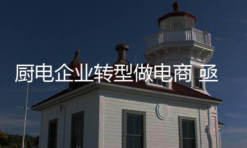 对于很多传统企业而言
