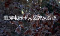 厨房电器十大品牌从资源、渠道、设计三方面谋发展
