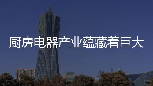 着巨展前延续快速增长态势