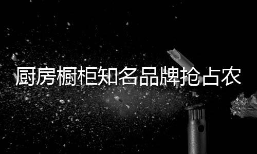 农村厨房橱柜市场相对空白
