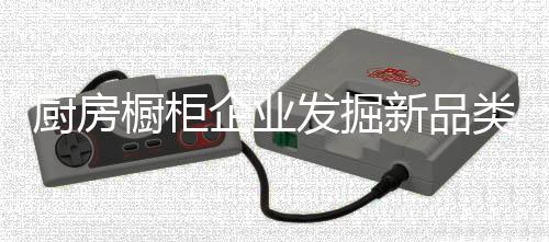 新品类就是发掘用概念