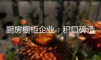 厨房橱柜企业：积口碑造精品 重营销讲服务
