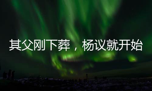 葬杨杨仪自爆欠了几个亿