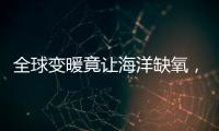 全球变暖竟让海洋缺氧，3亿年前气候状态警示危机