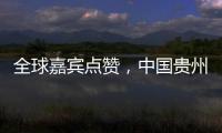全球嘉宾点赞，中国贵州正点绿成“金”