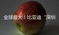全球最大！比亚迪“深圳号”交付启航