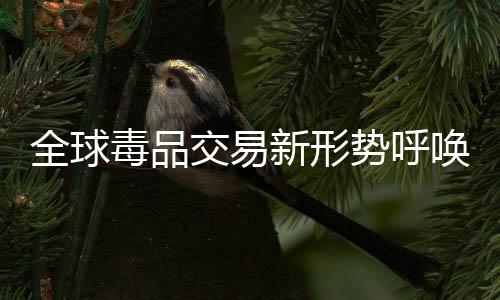 常务副秘书长魏晓军