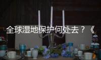 全球湿地保护何处去？《湿地公约》科技委员会主席这么说