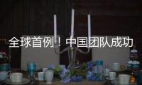 快排公司十年历程，霸屏兔 seo 的崛起与坚守