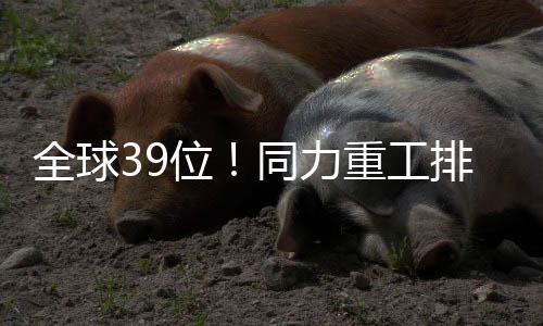 同力重工研发投入1.96亿元