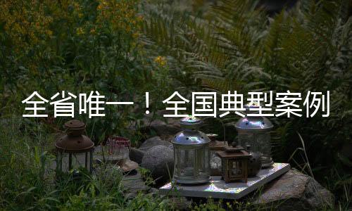 以大流量澎湃正能量
