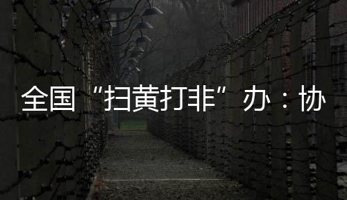 络沉组织力量加强网络巡查