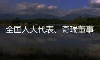 全国人大代表
、奇瑞董事长尹同跃�：恶性竞争的“价格战”伤人伤己