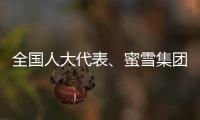 全国人大代表、蜜雪集团赵红果：建议新式茶饮建立国家标准