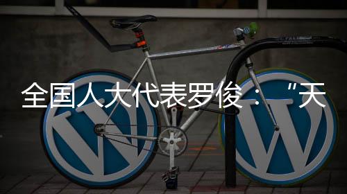 于2014年3月正式提出