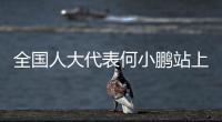 全国人大代表何小鹏站上“代表通道”�，讲述科创改变生活