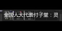 全国人大代表付子堂：灵活就业人群个税不应“一刀切”