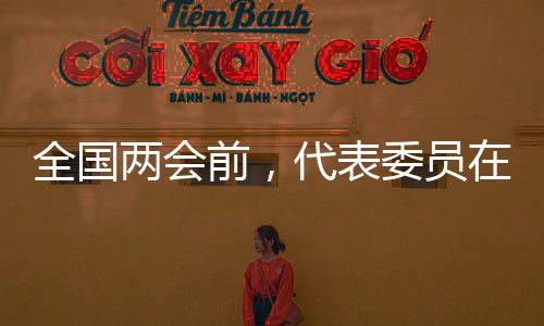 围绕全国两会的全国前代召开