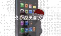 全国政协委员谢文敏：法院判决无法执行，相当于法律“白条”