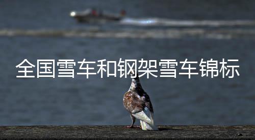 全国黎禹汐/陈文浩收获银牌