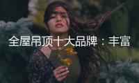 全屋吊顶十大品牌
：丰富产品线 发挥自身优势