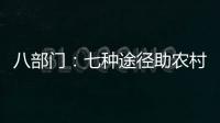 八部门
	：七种途径助农村残疾人就业增收