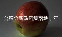 公积金新政密集落地，年内近20城支持房贷“商转公”
