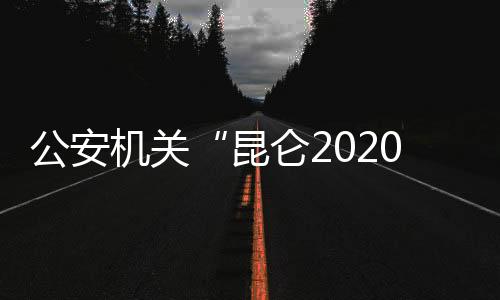打掉犯罪团伙2300余个