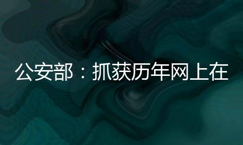 上逃坚决打赢追逃攻坚战
