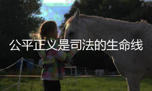 司法人员更加深刻认识到