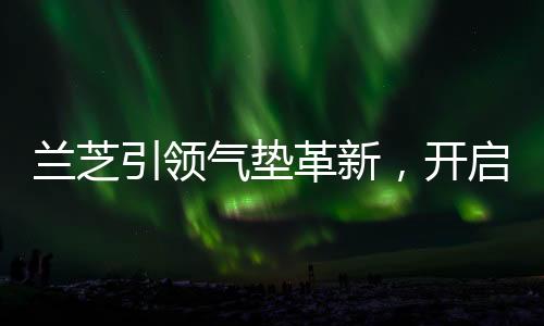 追求肌肤的兰芝钻石光感
