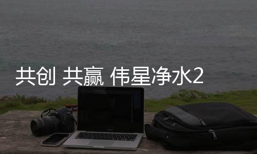 伟星净水系列产品