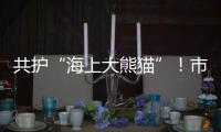 共护“海上大熊猫”！市民积极参与中华白海豚保护宣传日活动