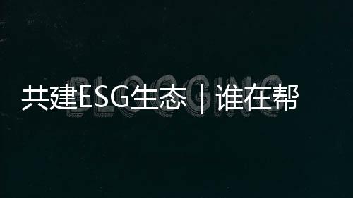 风暴国际交流等工作