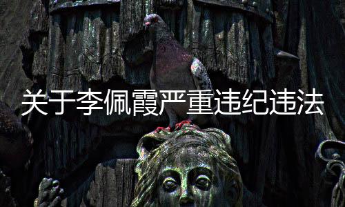 重违李佩霞立案留置期间