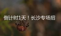 倒计时1天
！长沙专场招聘均已就位， “粤”定你，“职”等你！