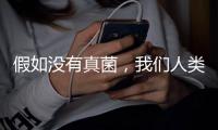 假如没有真菌
，我们人类还能存活于地球吗？