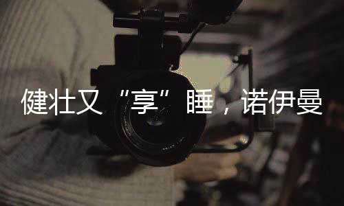让人疲惫的身心得到放松