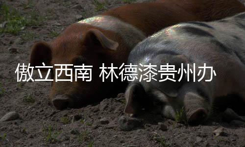 林德漆总部给予了高度重视