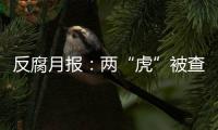 反腐月报：两“虎”被查，三“虎”受处分