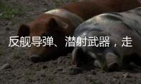 反舰导弹、潜射武器，走近航展里的“海防利器”丨2022航展